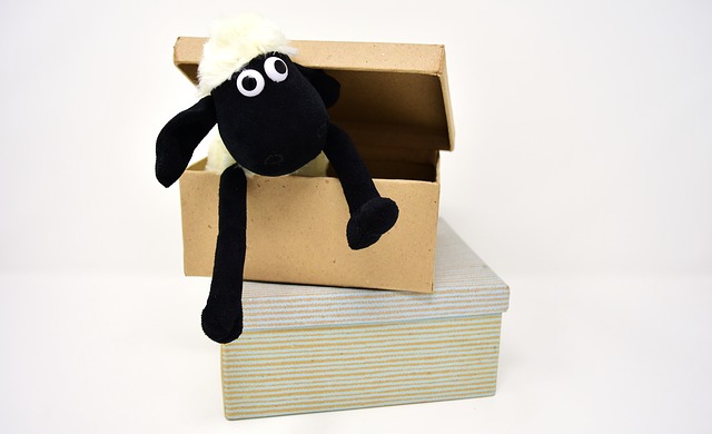 carton ouvert carton ouvert