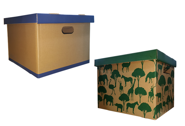 carton carton
